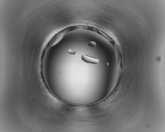 X0000091301136200708101302
