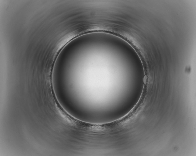 X0000091301137200708101302