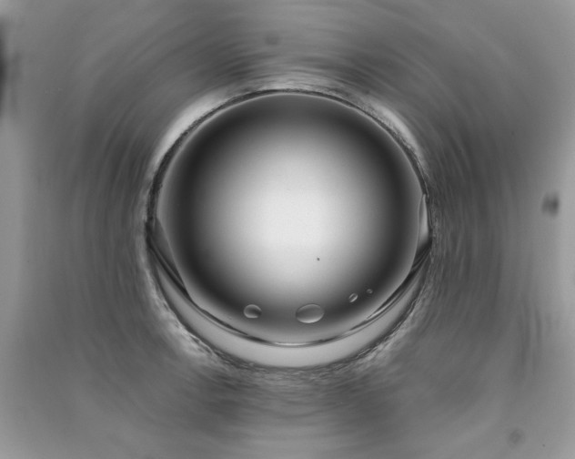X0000091301138200708101302