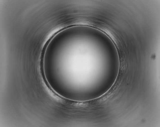 X0000091301139200708101302