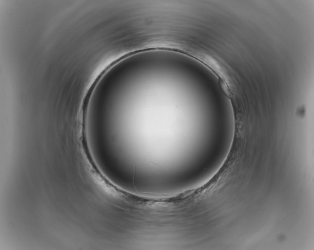 X0000091301140200708101302
