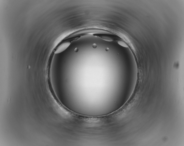 X0000091301141200708101302