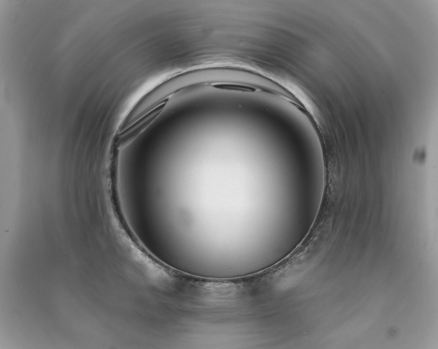 X0000091301142200708101302