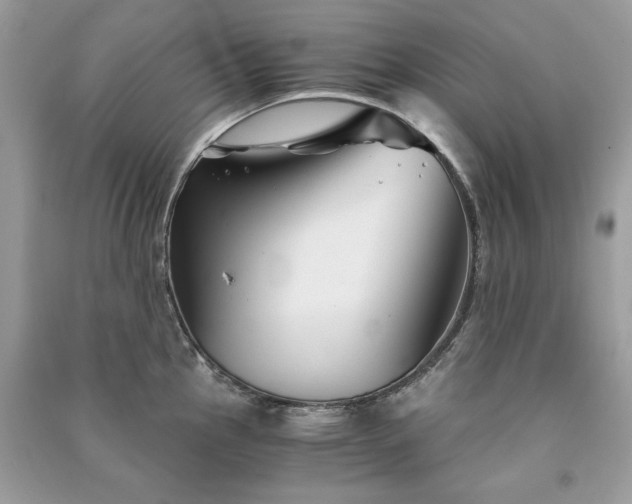 X0000091301145200708101302
