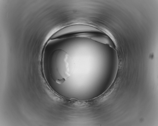 X0000091301146200708101302