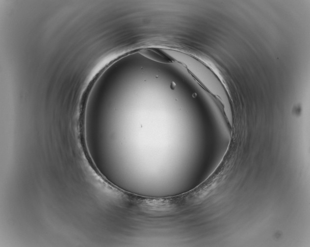 X0000091301147200708101302