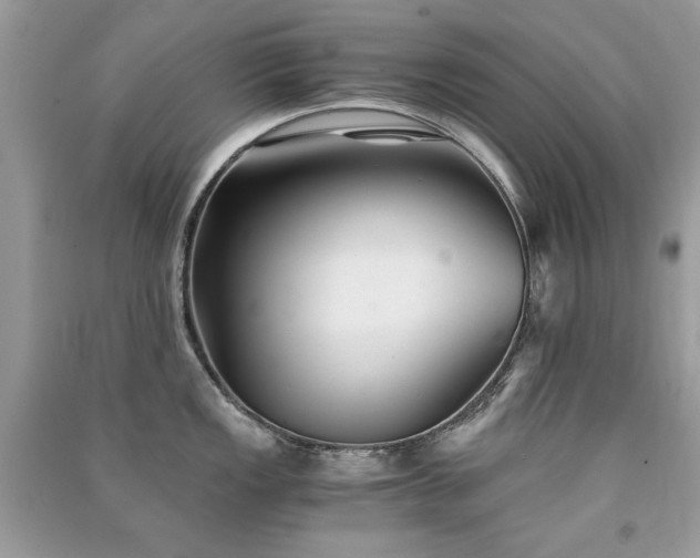X0000091301149200708101302