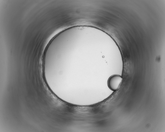 X0000091301150200708101302