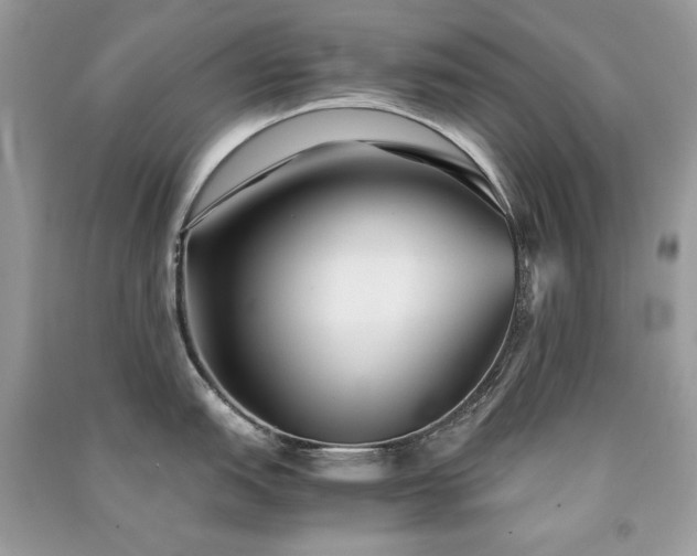 X0000091301151200708101302