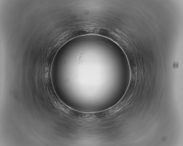 X0000091301154200708101302