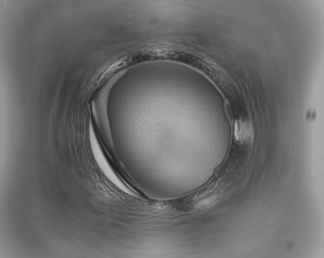 X0000091301155200708101302