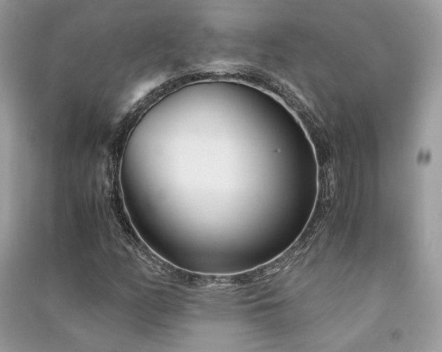 X0000091301158200708101302