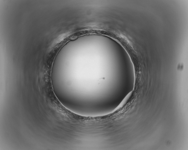 X0000091301159200708101302