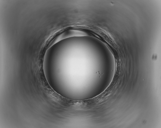 X0000091301160200708101302