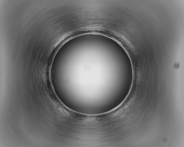 X0000091301162200708101301