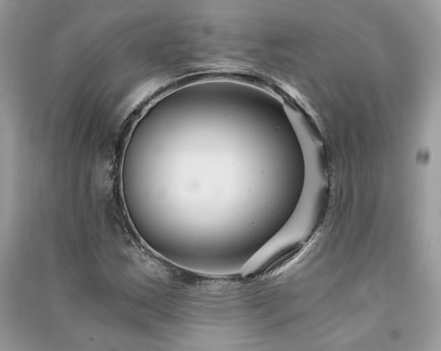 X0000091301163200708101301