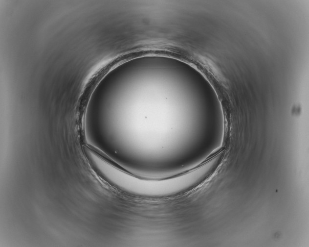 X0000091301164200708101301