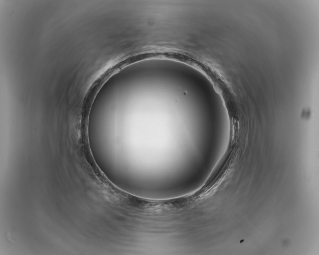X0000091301165200708101301