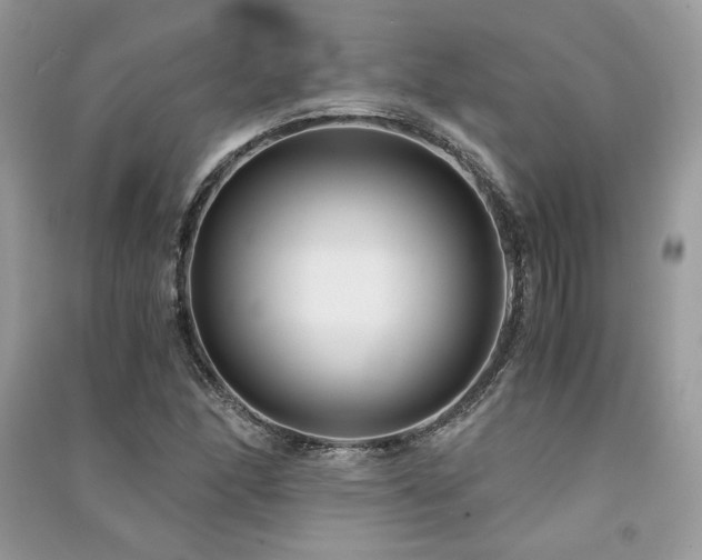 X0000091301166200708101301