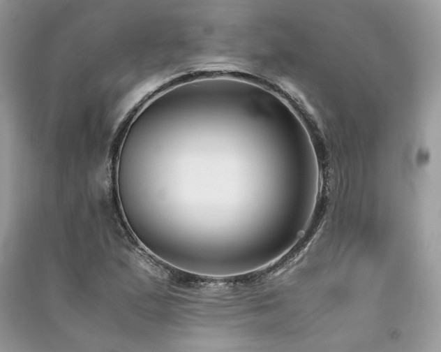 X0000091301167200708101301
