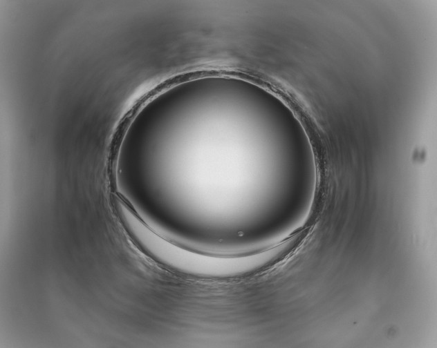 X0000091301168200708101301