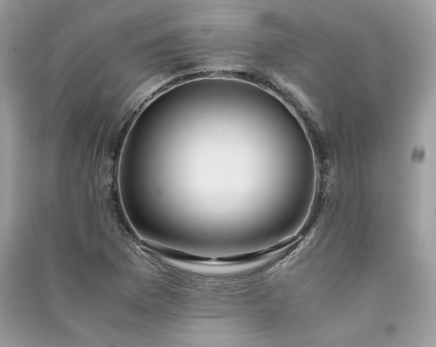 X0000091301169200708101301