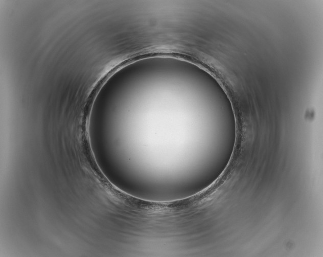 X0000091301170200708101301