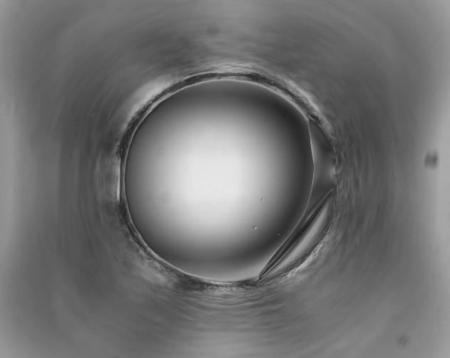 X0000091301171200708101301