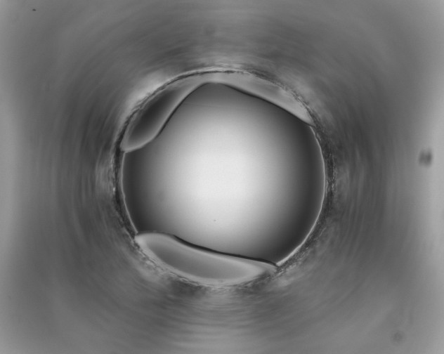 X0000091301172200708101301