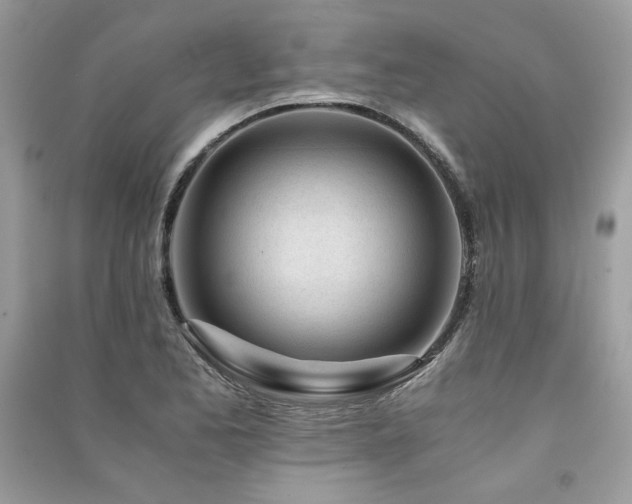 X0000091301173200708101301