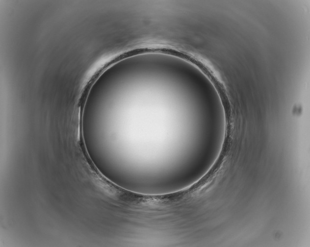 X0000091301175200708101301