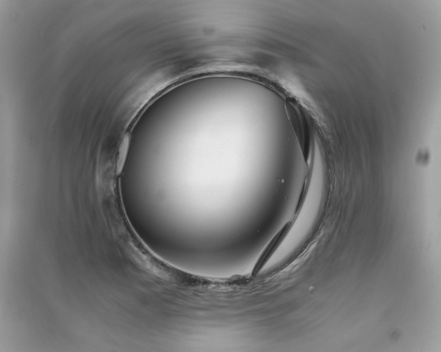 X0000091301177200708101301