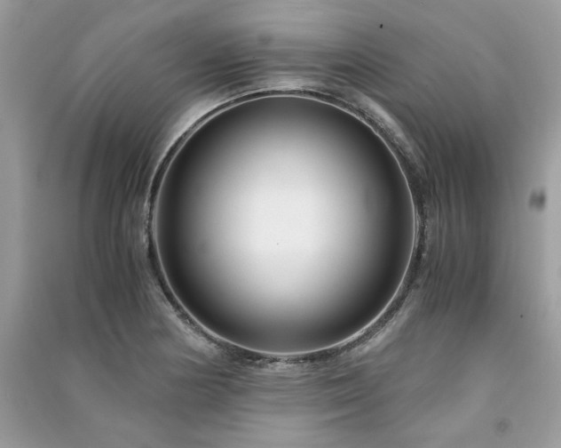 X0000091301178200708101301