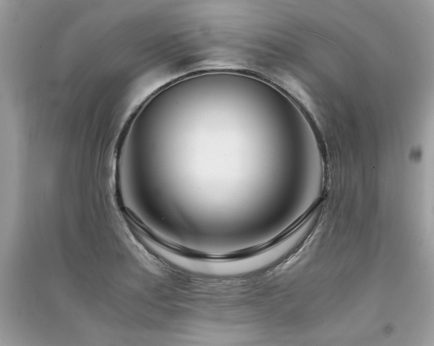 X0000091301179200708101301