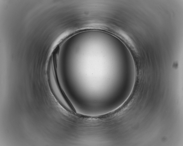 X0000091301180200708101301