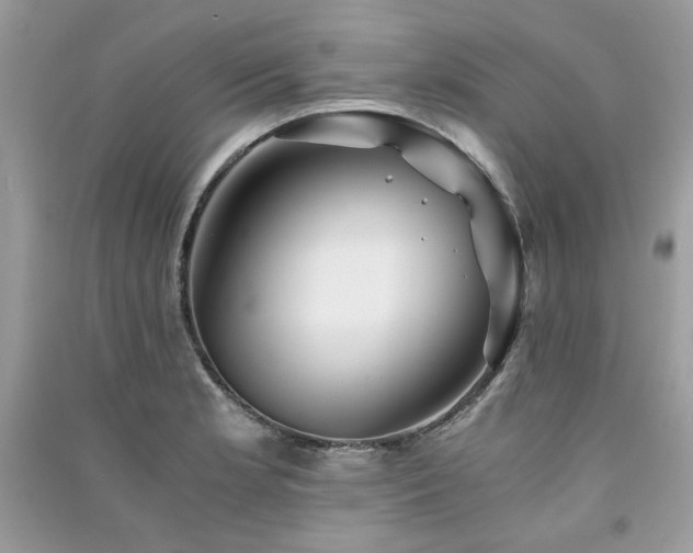 X0000091301181200708101301