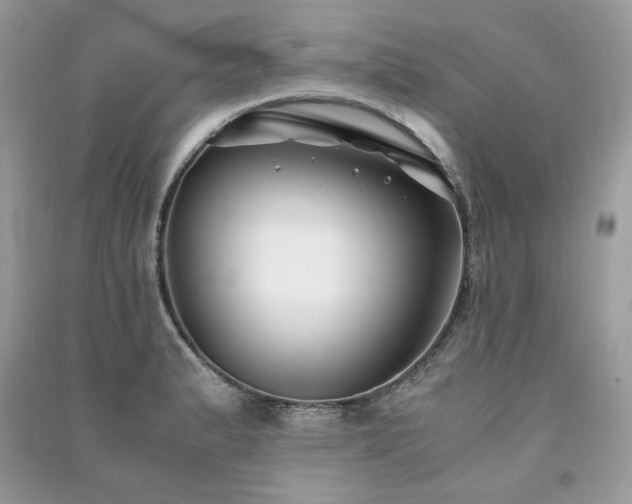 X0000091301183200708101301