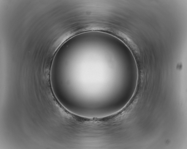 X0000091301185200708101301