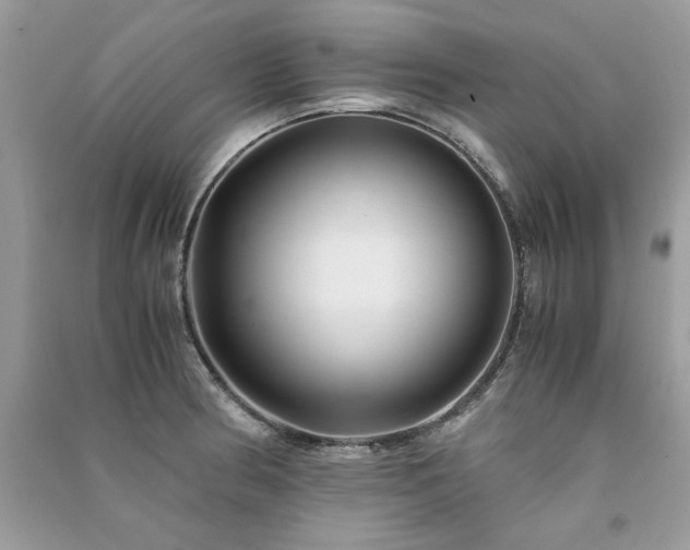 X0000091301186200708101301