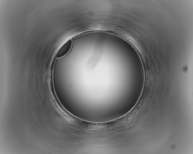 X0000091301187200708101301