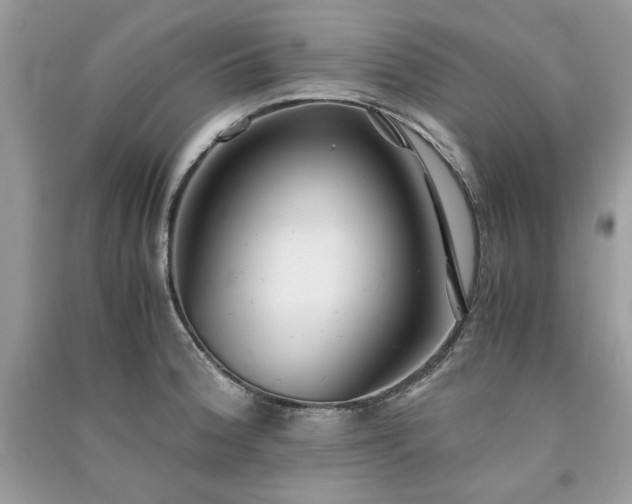 X0000091301188200708101301