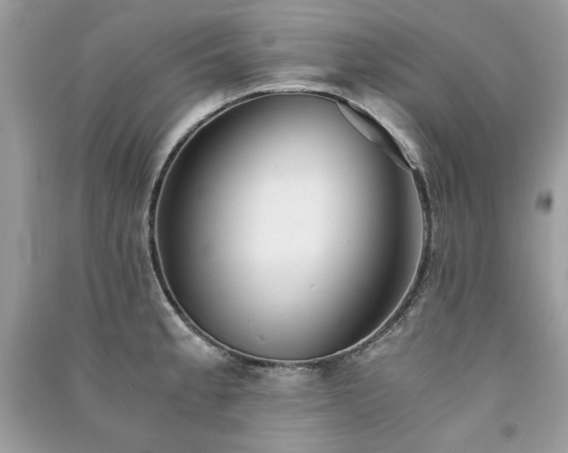 X0000091301189200708101301