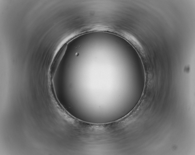X0000091301190200708101301