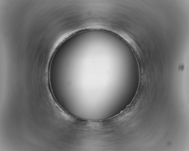X0000091301191200708101301