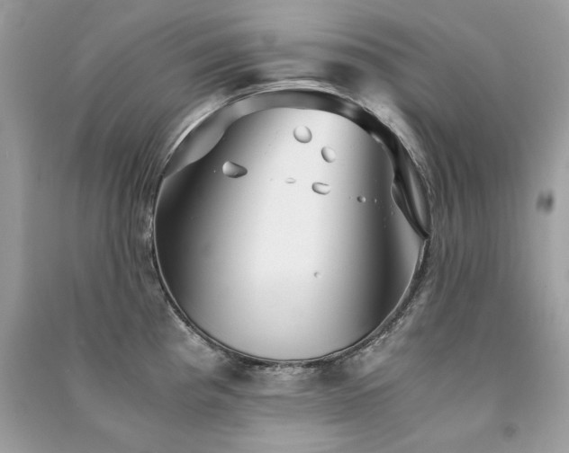 X0000091301193200708101301
