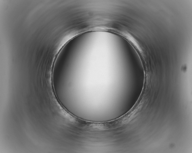 X0000091301194200708101301