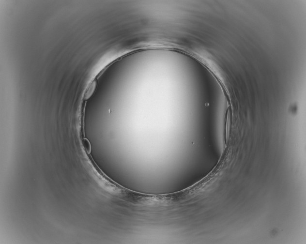 X0000091301195200708101301