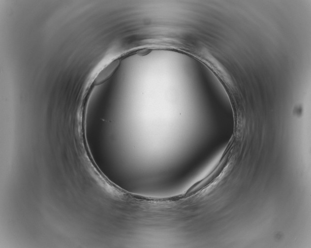 X0000091301196200708101301