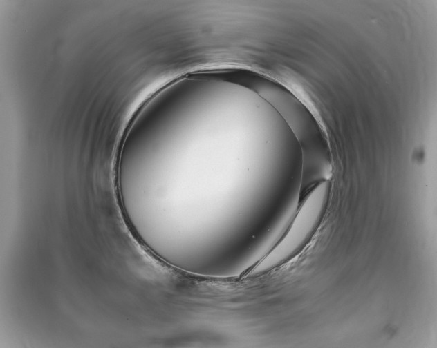 X0000091301197200708101301