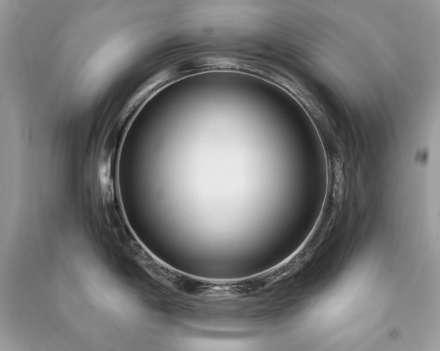 X0000091301198200708101301